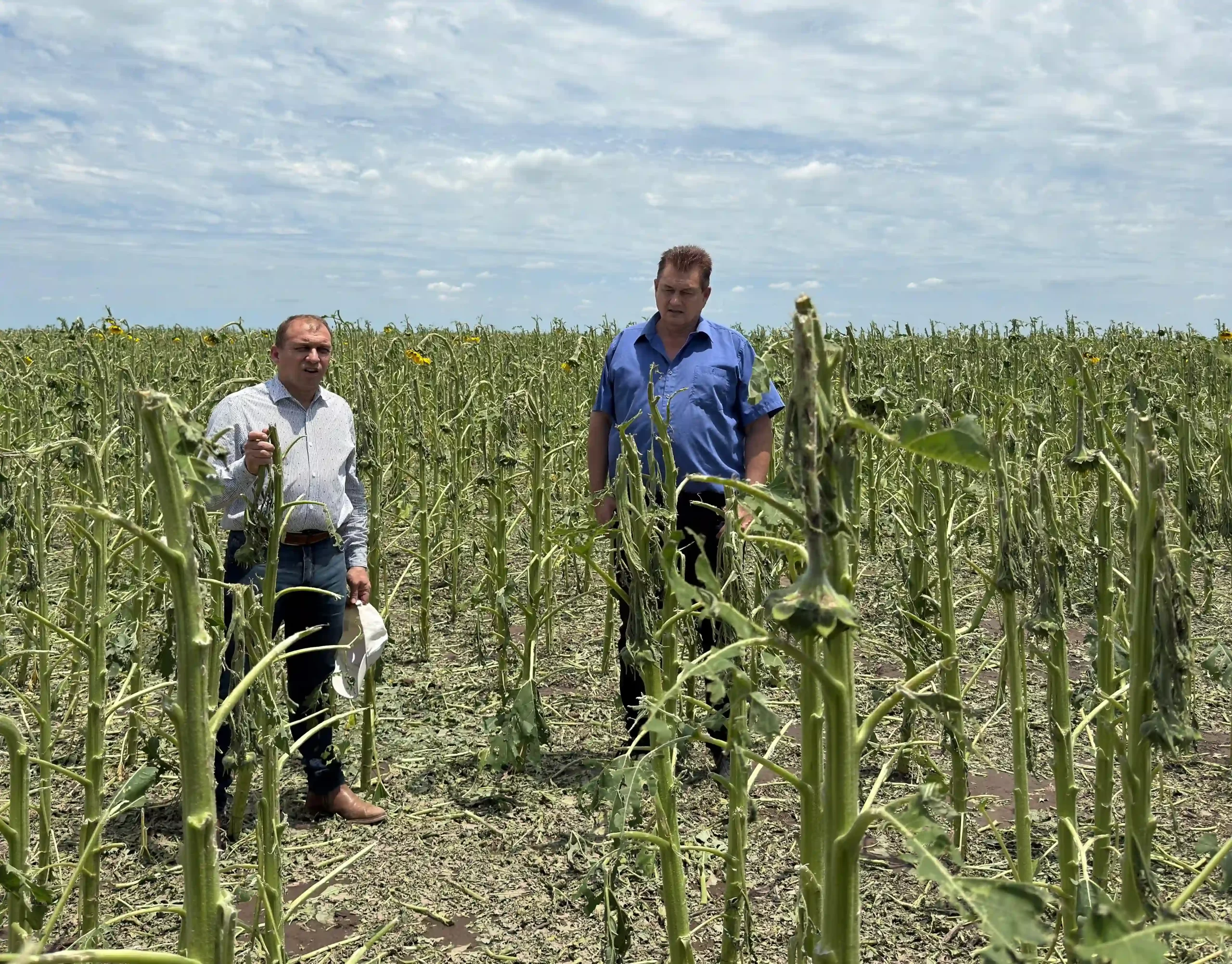 WhatsApp Image 2025-11-05 at 19.46.48 (2)